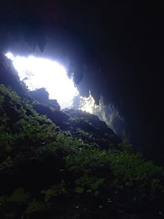 Rio Camuy Cave