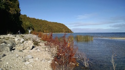 Lake Shore